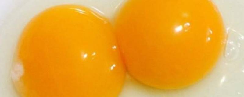蛋黄怎么吃（蛋黄怎么吃才能降低胆固醇）