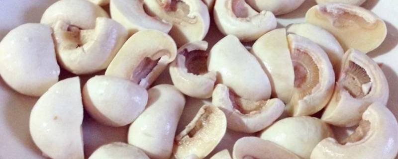 小头白蘑菇怎么做好吃 白头菇怎么做才好吃