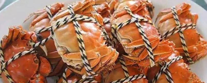 螃蟹怎么剥开吃 螃蟹如何剥开吃