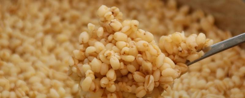 小麦仁怎么做好吃 小麦仁的做法