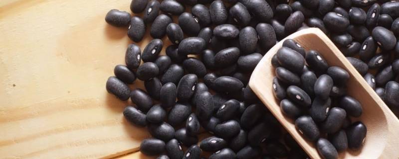 黑豆怎么做好吃 黄豆怎么做好吃又简单的家常做法