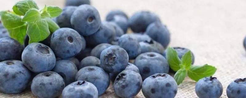 蓝莓怎么吃好吃又简单 蓝莓怎样吃好