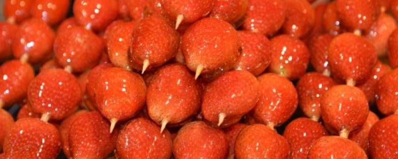 草莓冰糖葫芦制作方法 草莓冰糖葫芦的制作方法