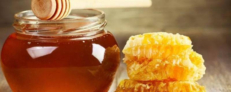 蜂蜜怎么吃 蜂蜜怎么吃补肾效果最好