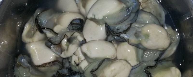 海蛎怎么吃好吃 海蛎子怎么吃好吃