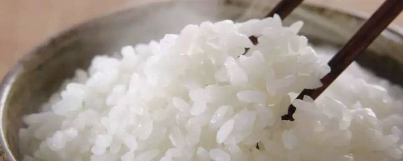 米饭怎么加热 自热米饭怎么加热