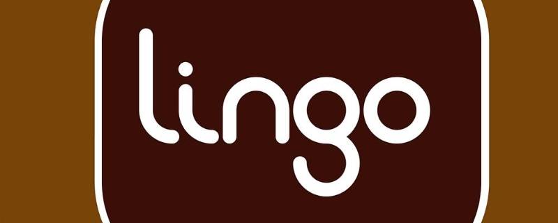 lingo是什么软件 Ling是什么软件