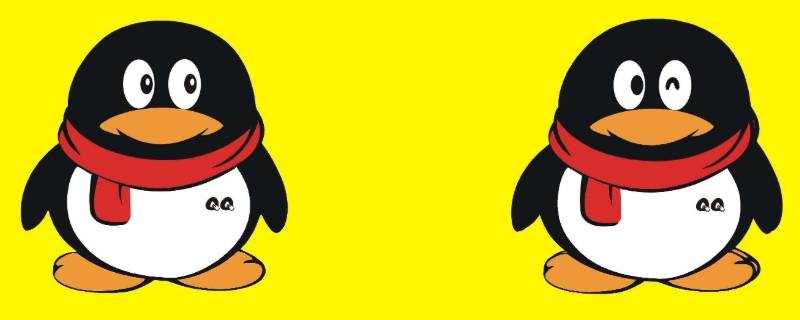 企鹅是什么软件（企鹅是什么软件?）