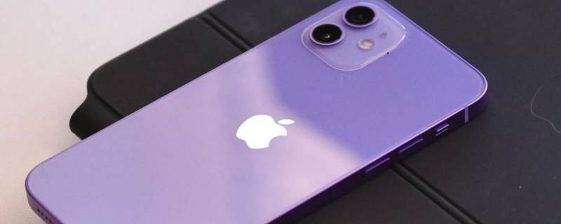 iphone12有紫色的吗（IPhone12紫色）