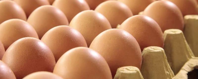 立鸡蛋是生的还是熟的 立蛋是生蛋还是熟蛋
