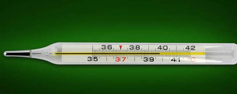 体温计看度数（体温计看度数视频）