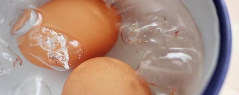 煮鸡蛋盖盖子吗 鸡蛋需要盖盖子吗