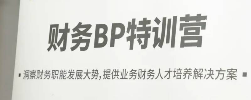 财务bp是什么意思？ 区域财务bp是什么意思