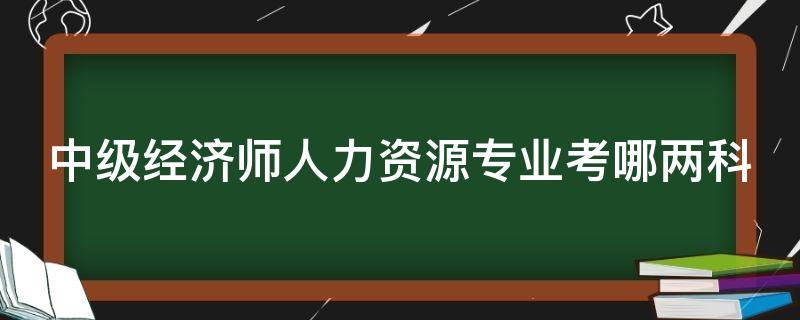 中级经济师人力资源专业考哪两科 中级经济师人力资源专业考哪两科内容