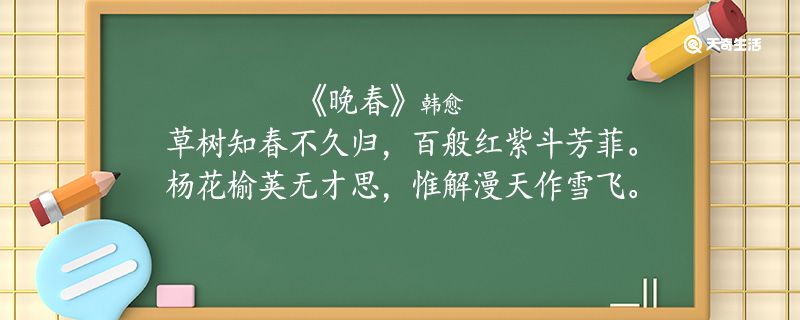 晚春翻译全文