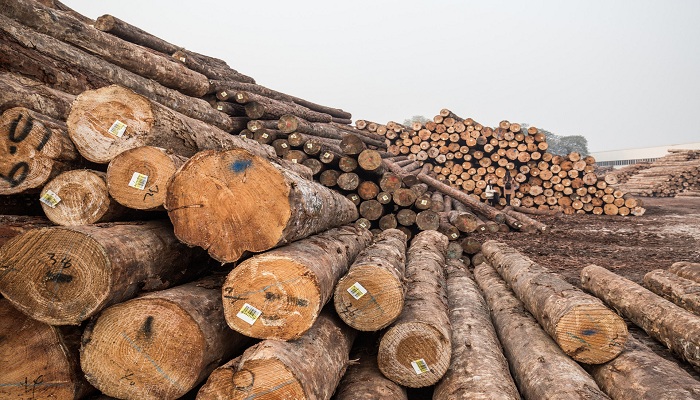 碳化木和防腐木的区别