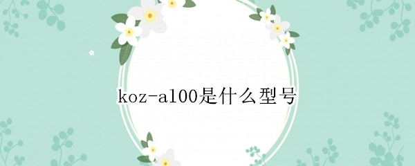 koz-al00是什么型号（koz-al00是什么型号多少钱）