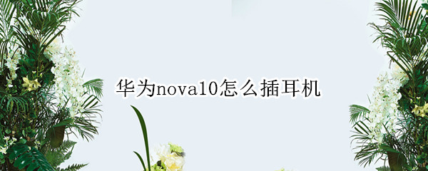 华为nova10怎么插耳机（华为nova10耳机孔）