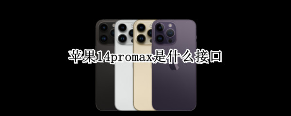 苹果14promax是什么接口 12promax 接口