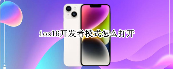 ios16开发者模式怎么打开 ios手机打开开发者模式