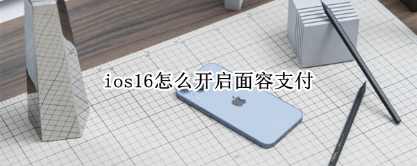 ios16怎么开启面容支付（iphone11怎么开启面容支付）