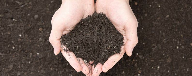 土壤肥力与哪些因素有关
