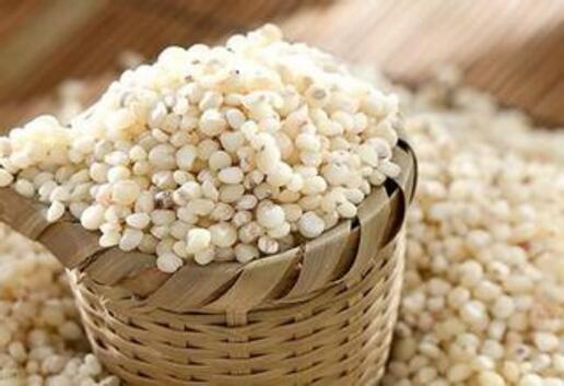 高粱米的功效与作用及食用禁忌