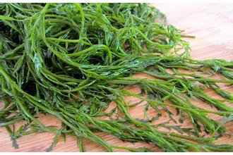 防辐射神植物螺旋藻的吃法（螺旋藻的用处和吃法）
