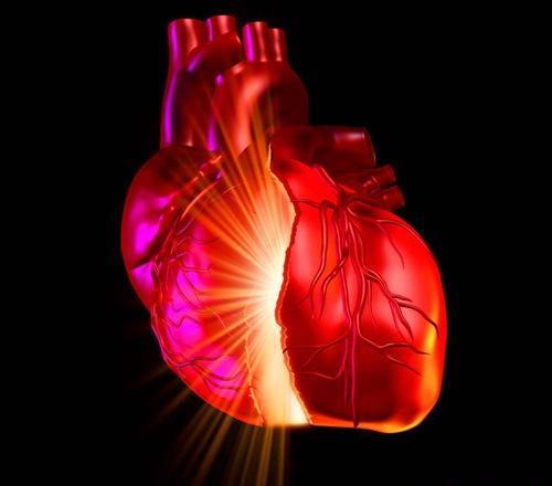 心肌炎早期症状是什么 心肌炎早期症状是什么样的