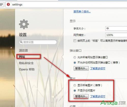 opera浏览器怎么设置不显示图片