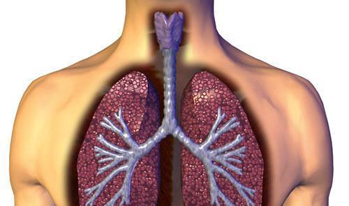 慢性阻塞性肺气肿 慢性阻塞性肺气肿的体征