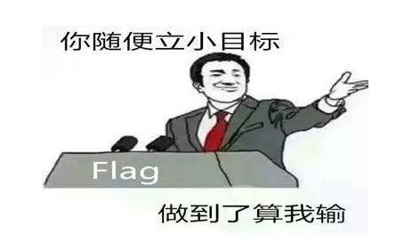 flag是什么意思