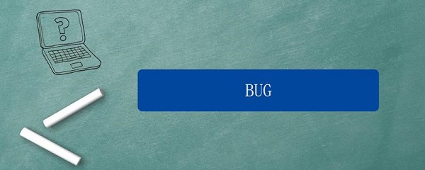 bug是什么意思（bugs是什么意思）