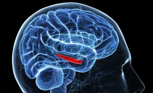 脑神经衰弱的症状都有什么表现 脑神经衰弱是什么病?