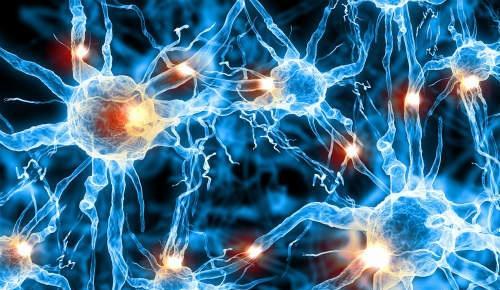 神经再生疗法 神经细胞再生疗法