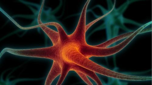 运动神经元疾病 运动神经元疾病是怎么引起的