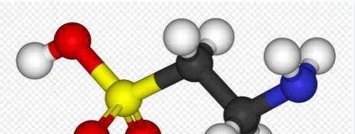 牛磺酸是什么 牛磺酸是什么东西有什么功效