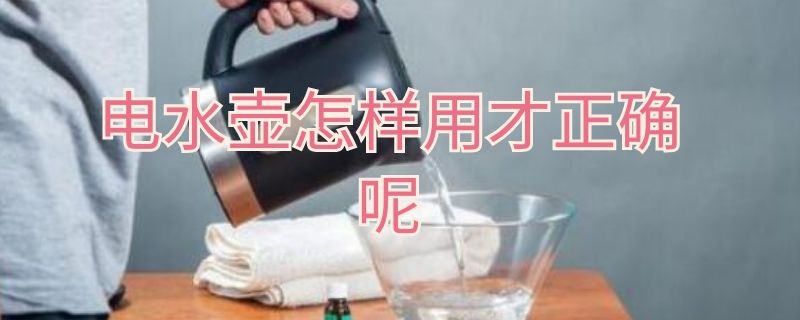 电水壶怎样用才正确呢（电水壶如何使用）