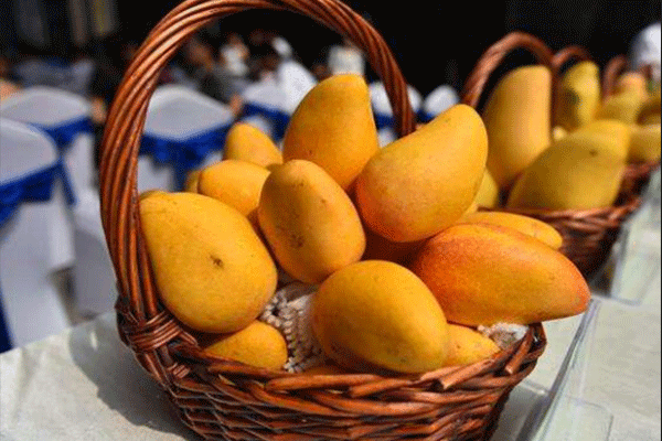 芒果怎样保存可以放得更久 芒果怎样保存可以放得更久一点