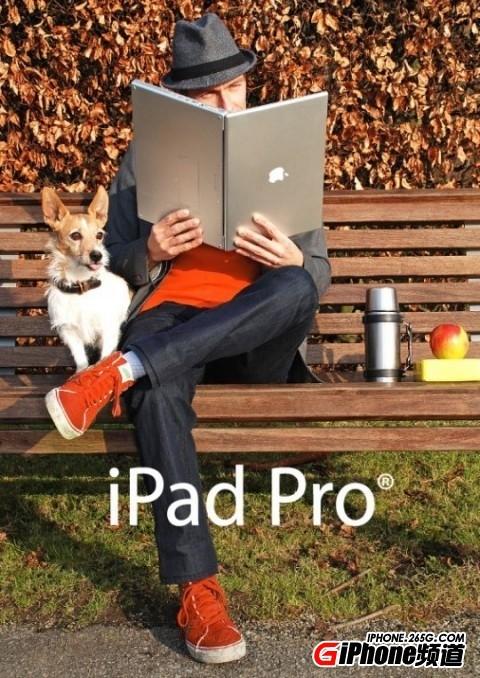 12.9寸iPad（12.9寸ipad pro多重）