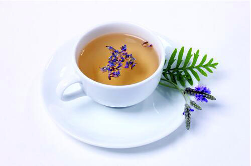 科普饮用玉兰花茶的作用以及方法 科普饮用玉兰花茶的作用以及方法视频