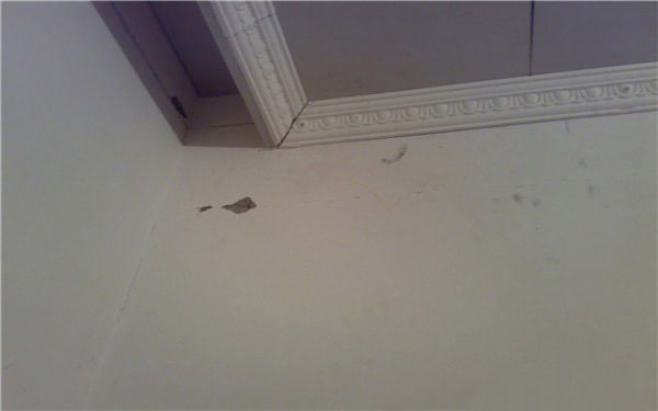 墙面修复膏怎么样 墙面修复膏多少钱一盒 墙面修复膏的使用方法