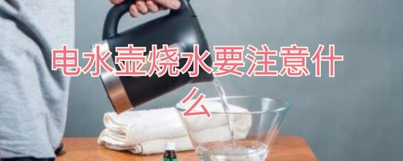 电水壶烧水要注意什么