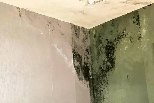 室内潮湿怎样解决 室内潮湿可以贴墙纸吗