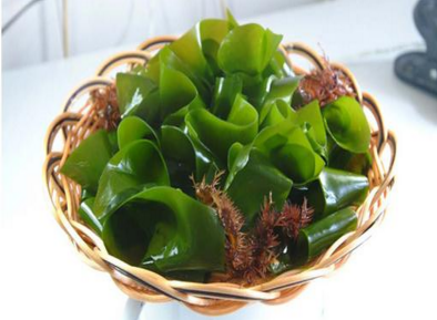 中药材螺旋藻能减肥吗