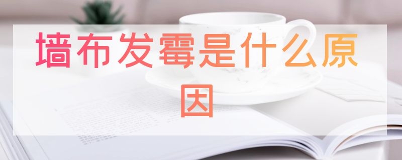 墙布发霉是什么原因