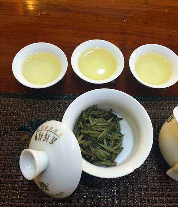 白茶的功效与作用介绍 白茶泡水喝的禁忌有哪些