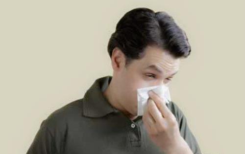 过敏性鼻炎有哪些食疗法？