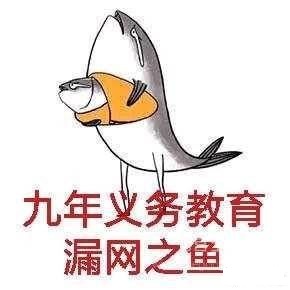 九漏鱼是什么意思