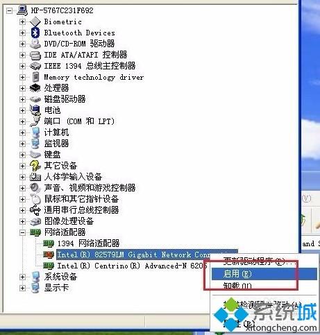 WindowsXP系统如何启用被禁用网卡